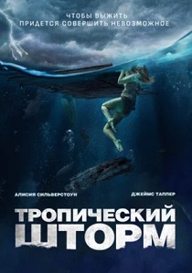 Тропический шторм (2023)